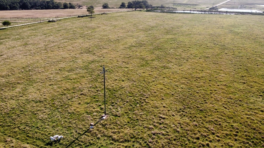 Commercial Property for Sale in George Rural Western Cape